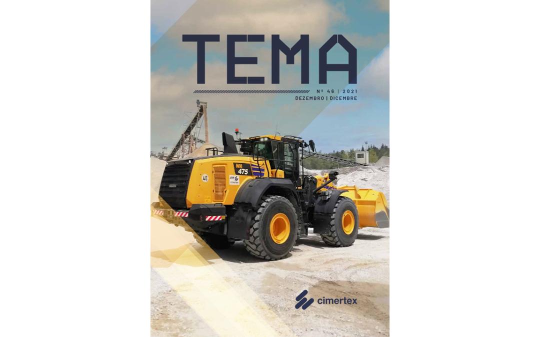 TEMA 46